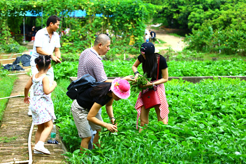 深圳觀瀾農(nóng)家樂野炊燒烤體驗(yàn)田園生活