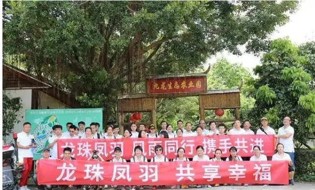 深圳農家樂迎來龍珠鳳羽團隊拓展在九龍山生態園舉辦圓滿成功！